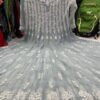 Georgette_chikankari__anarkali_with_mirror_work