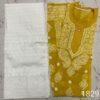 Georgette_panel__chikankari_kurti