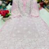 Georgette_side_panel_chikankari_kurti