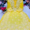 Georgette_side_panel_chikankari_kurti