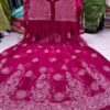 Georgette_bell_sleeves_chikankari_gown