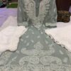 Georgette_daman_kairi_chikankari_kurti