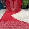Georgette_daman_rose_keel_jaal_chikankari_kurti
