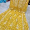 Exclusive_Lucknowi_chikankari_Mul_Mul_Cotton_printed_gown_/+