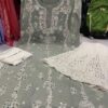 Georgette_chikankari_kurti_with_mirror_work