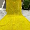 Georgette_resham_thread_a-line_chikankari__kurti