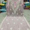 Georgette__chikankari_kurti