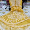 Georgette_bell_sleeves_layer_chikankari_gown