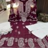 Georgette_bell_sleeves_gala_daman_chikankari_kurti