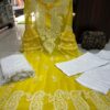 Georgette_bell_sleeves_gala_daman_chikankari_kurti
