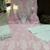 Georgette_bell_sleeves_gala_daman_chikankari_kurti