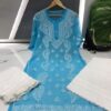 Georgette_buta_chikankari__kurti