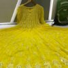 Georgette__kali_chikankari_anarkali_with_mirror_work