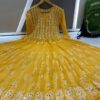 Georgette__kali_chikankari_anarkali_with_mirror_work