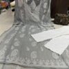 Georgette_yok_kali_chikankari_kurti