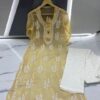 Georgette_chikankari_kurti