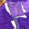 Booti_jaal_chikankari__Dyed_sets