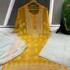 Georgette_fine_yok_gala_buti_chikankari_kurti