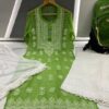 Georgette_fine_yok_gala_buti_chikankari_kurti