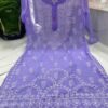 Georgette_daman_chikankari_kurti