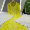 Georgette_panel_keel_chikankari_kurti