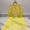 Georgette_gala_daman_chikankari_kurti