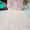 Georgette_jaal_work_chikankari_kurti