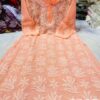 Georgette_jaal_work_chikankari_kurti