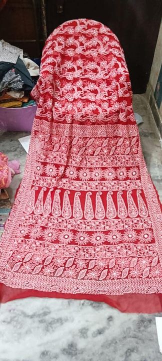 all_over_light_jaal_chikankari_lucknowichikankari__sarees