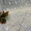 net_pallu_work_chikankari__saree