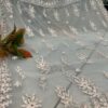 net_pallu_work_chikankari__saree