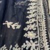 net_pallu_work_chikankari__saree