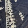 net_pallu_work_chikankari__saree