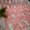 net_pallu_work_chikankari__saree