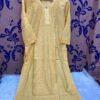 Premium_chanderi_cotton_Panel_Work_chikankari_kurti