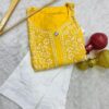lucknawi_chikankari_rayon_handwork_ghass_patti_kurti_with_cotton_chikankari_handwork_bhakhya_pant