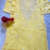 lucknawi_chikankari_rayon_handwork_ghass_patti_kurti_with_cotton_chikankari_handwork_bhakhya_pant