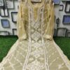 Georgette_panel_chikankari_kurti_with_gota_work