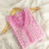 Georgette_yok_panel_design_work_chikankari_kurti